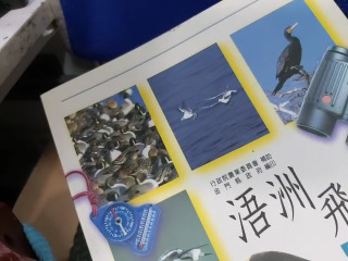 書