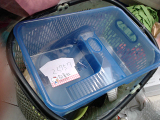 飼養缸