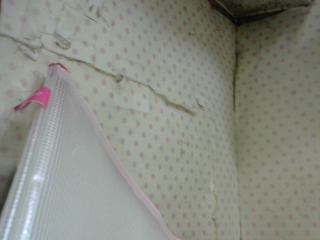 袋
