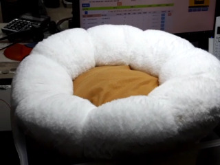 花朵造型寵物窩