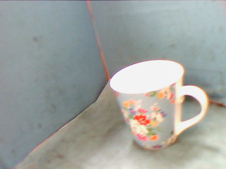 杯
