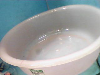 盆