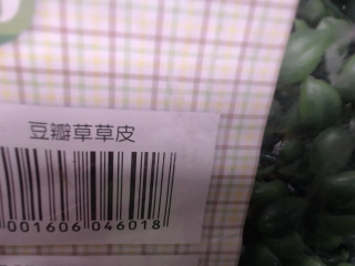 豆瓣草草皮