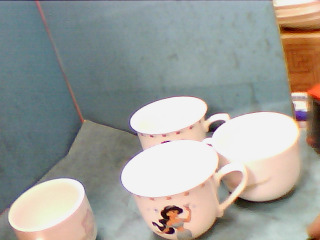 杯