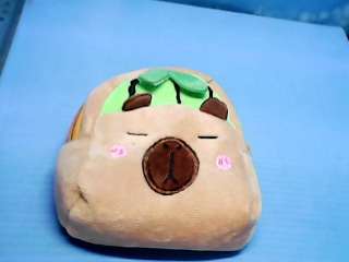 零錢包