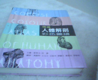 人體解剖