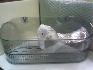 吸盤璧掛置物盒