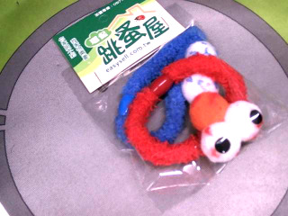 綁髮圈