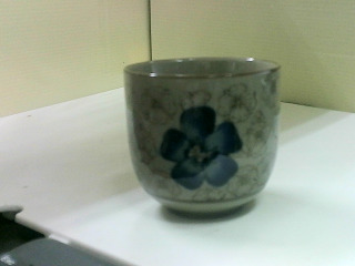 杯