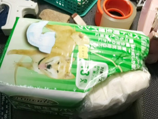 寵物
