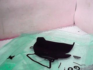 提袋