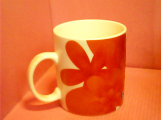 杯