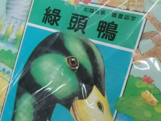 25本圖書認字