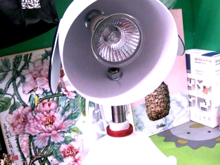 融蠟燈-史努比DOG