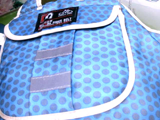 兒童機車安全帶