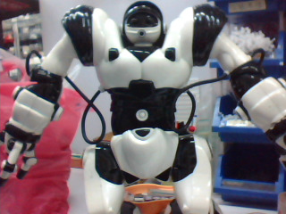 遙控機器人
