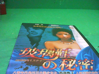 DVD-玻璃鞋的秘密