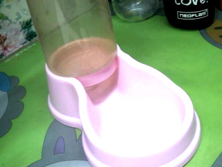 寵物給水器