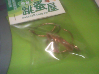 耳環