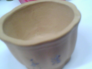 小盆栽