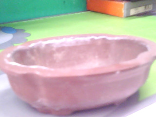 小花盆
