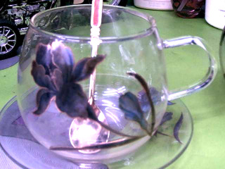 花茶杯