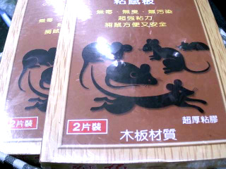 黏鼠板/小