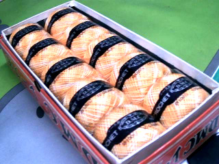 電繡棉線*10入/橘色