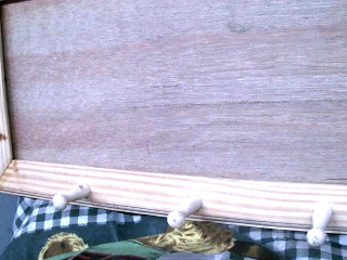 掛畫