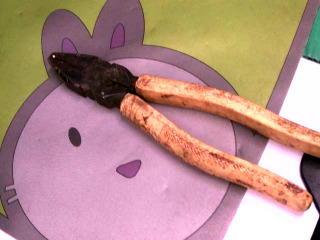 老虎鉗