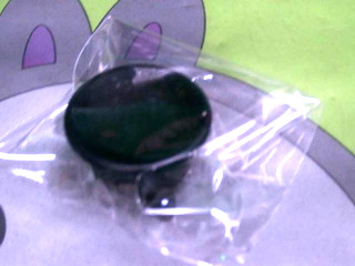 鍋蓋炳