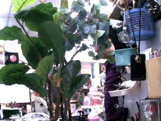 花盆擺飾