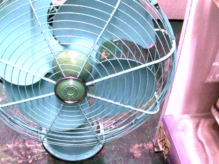 大同風扇/特價品