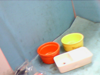 寵物用品