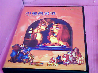 DVD-小姐與流氓