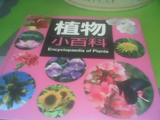 童書