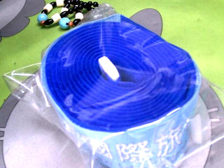 行李束帶