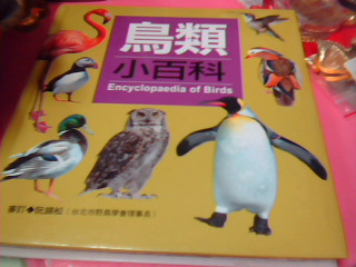 童書-鳥類小百科