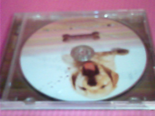 CD