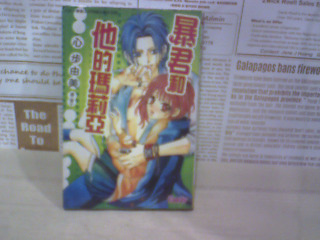 書-暴君和他的瑪莉亞