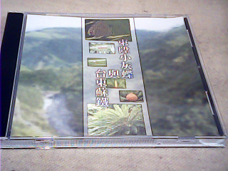 小灰蝶台東蘇鐵集