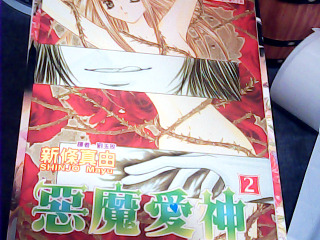 漫畫 惡魔愛神