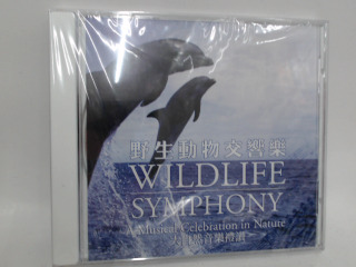 CD－全新
