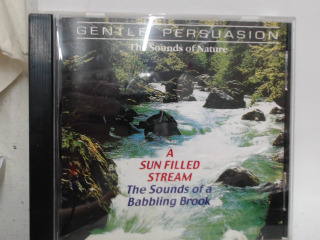 CD