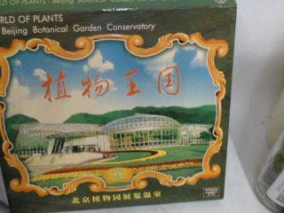 VCD