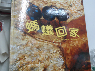 童書