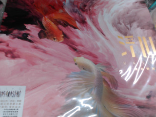 CD-全新