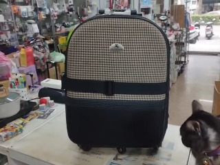 格紋布面行李箱