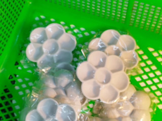 白色梅花調色盤