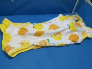 檸檬印花寵物背心